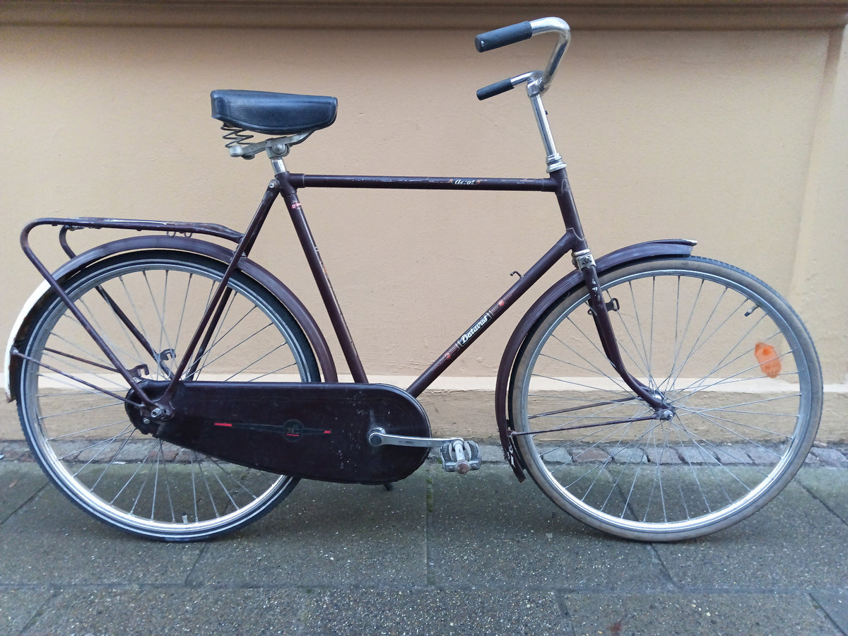 Batavus Ascot in Brown – FlexiFix
