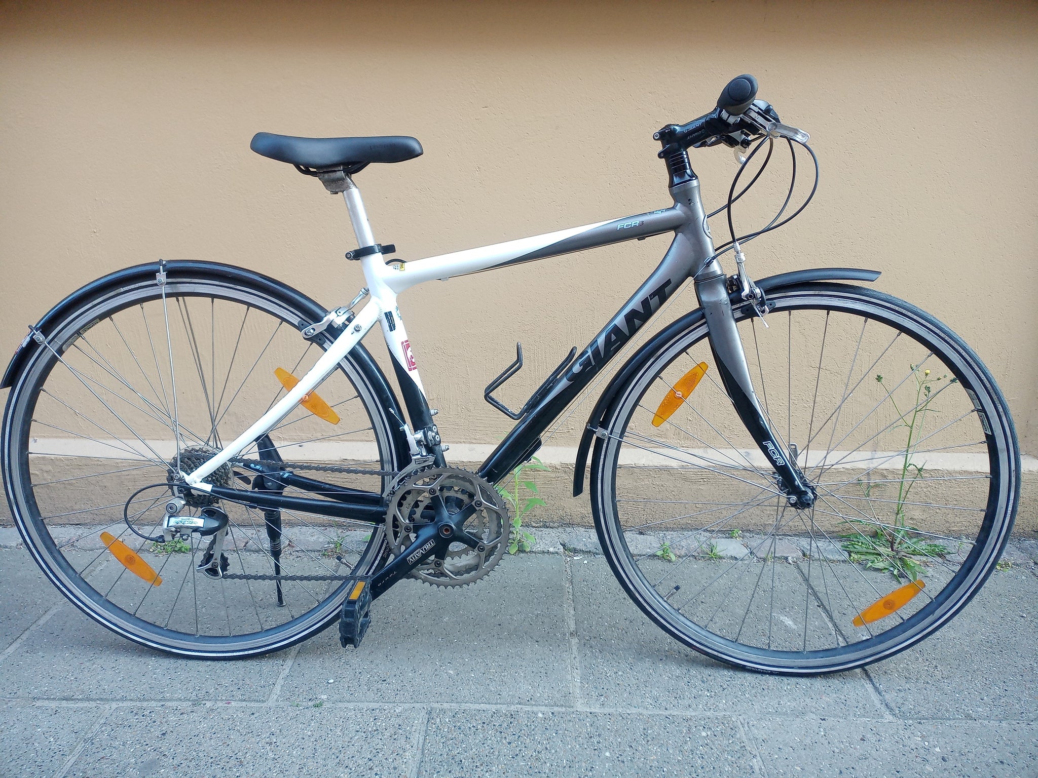 Giant FCR 3 in Black&White – FlexiFix