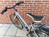 Cannondale Tesoro in Silver / Red