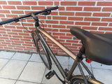 Nishiki Touring Master in Brown