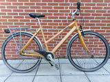 Raleigh Contour in Yellow