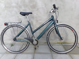 Raleigh Contour in Teal