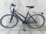 Raleigh Contour in Teal