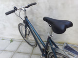 Raleigh Contour in Teal