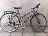Centurion Basic Extreme in Purple
