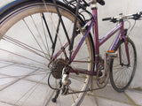 Centurion Basic Extreme in Purple