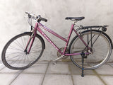 Centurion Basic Extreme in Purple