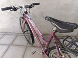 Centurion Basic Extreme in Purple