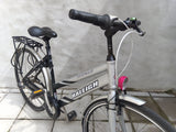 Raleigh Sprite Alu in Silver